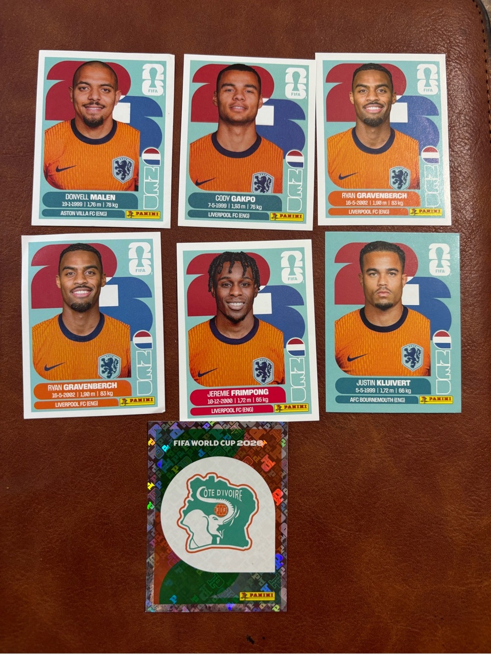 Panini Kids Toys Dutch National Team Orange Blue Soccer Sticker Set